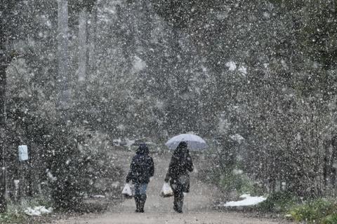 Πηγή: Ευρωκίνηση